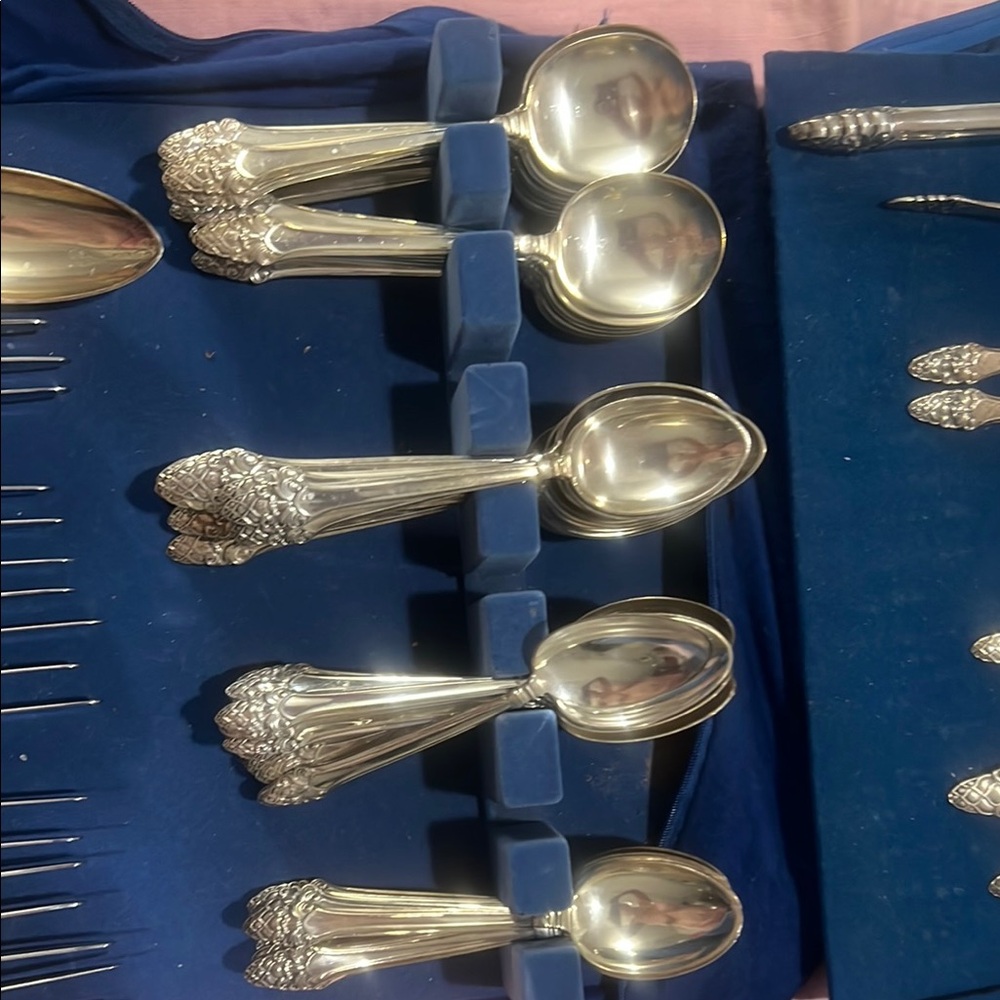 Intricate Silver Accent Utensils with Ornate Design